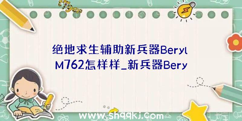 绝地求生辅助新兵器Beryl